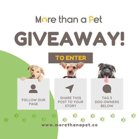 sweepstakes win stories pet owners