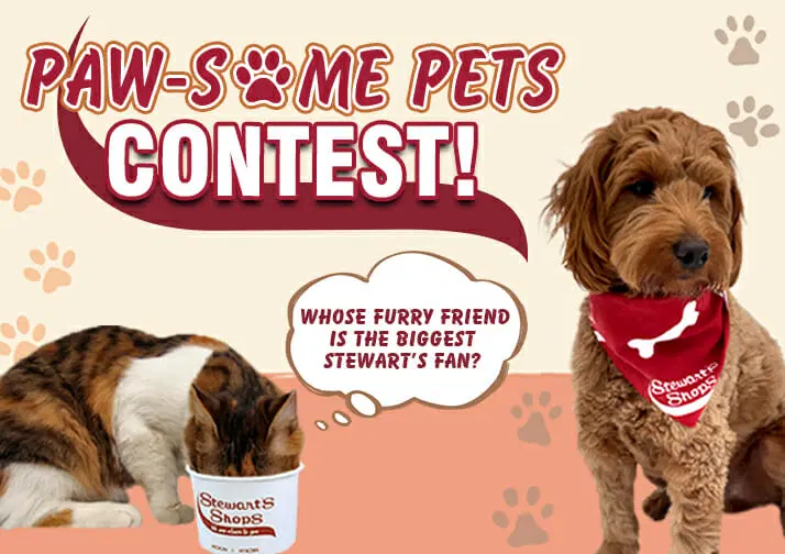 How to Win Pet Supplies Sweepstakes for Your Furry Friends
