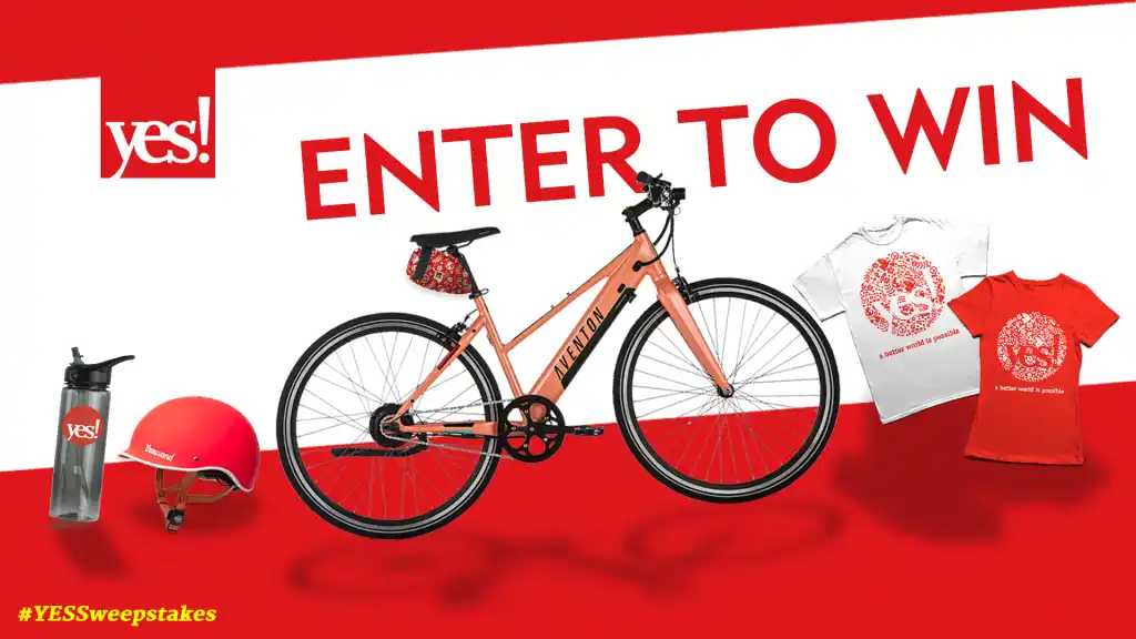 Sweepstakes for Winning Bicycle Gear